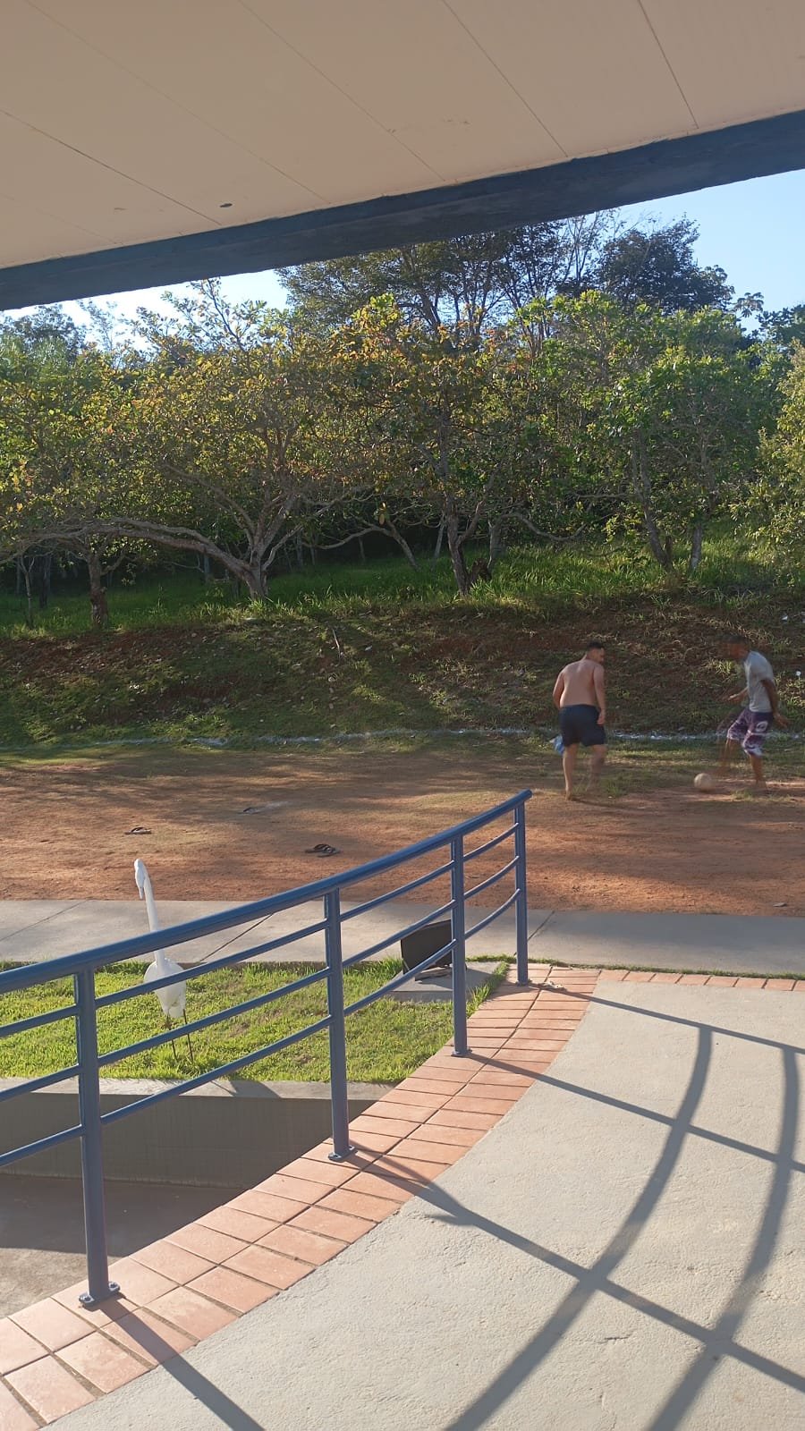 &Aacute;rea externa e campo