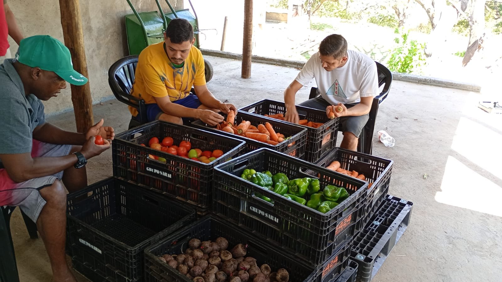 Laborterapia